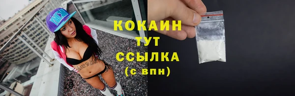 spice Алексин