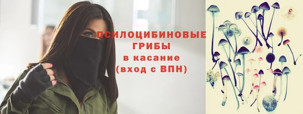 круглые Арсеньев