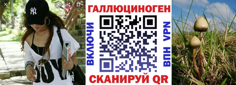 даркнет сайт Мамоново Псилоцибиновые грибы прущие грибы